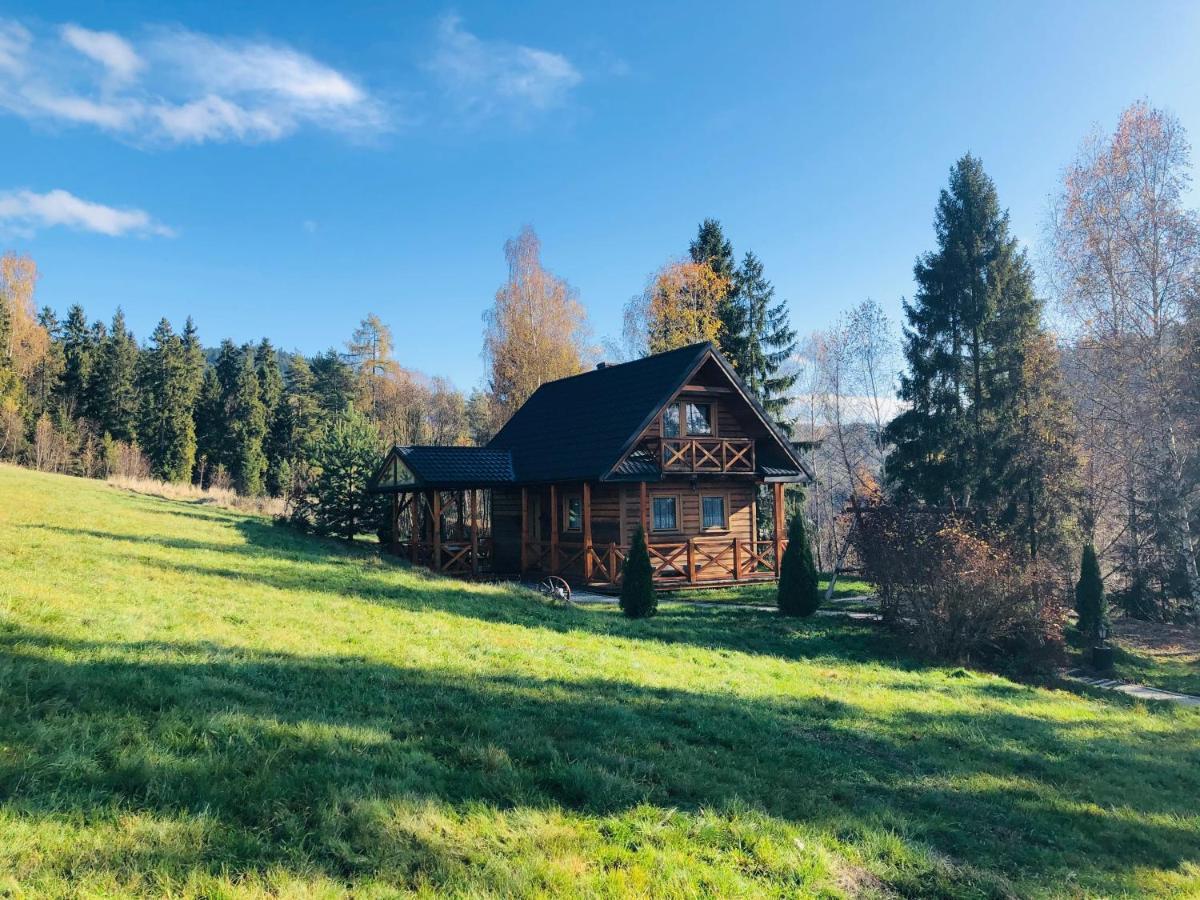 W Gorach Domek alpejski *