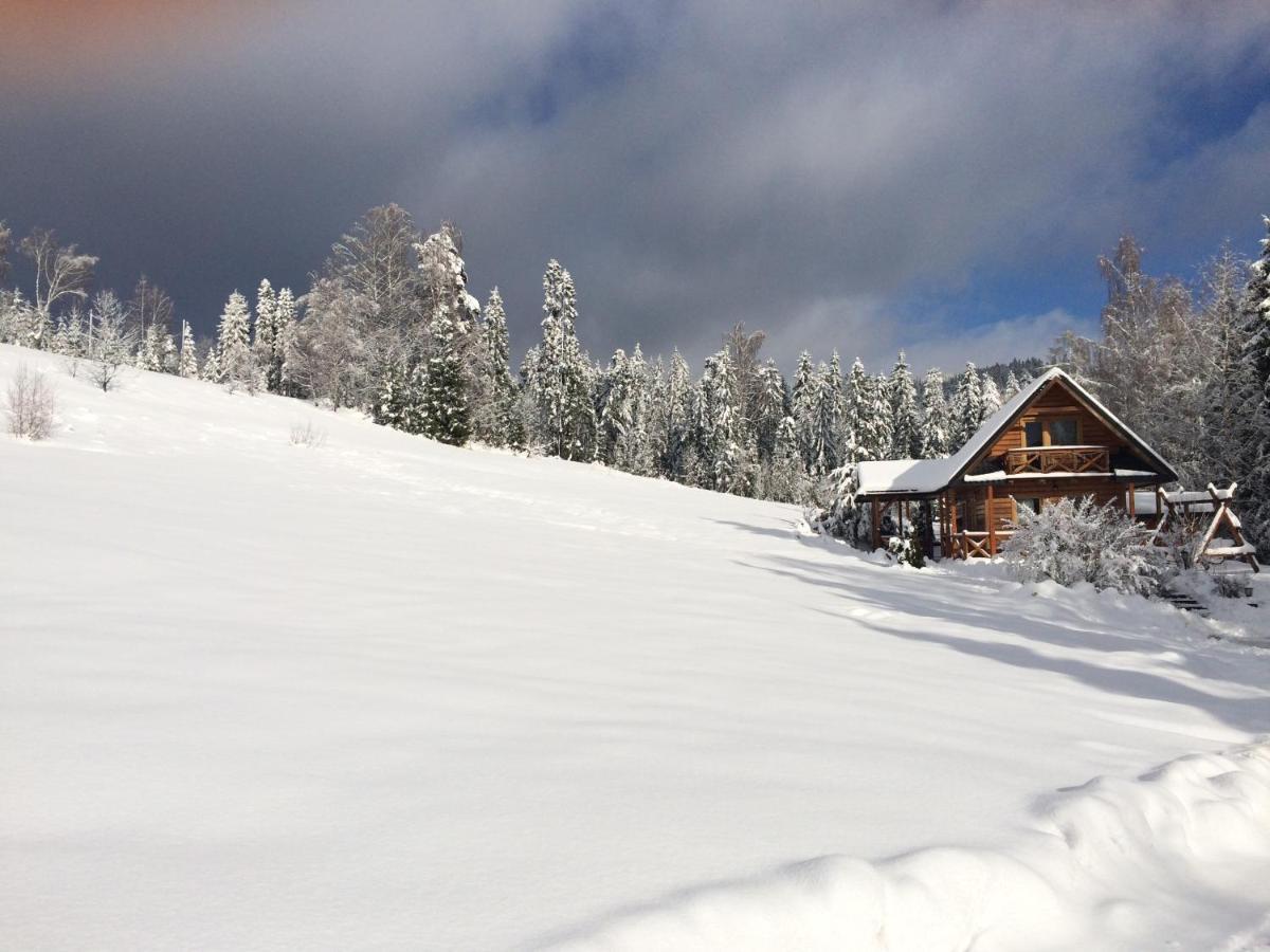 W Gorach Chalet Nowy Targ
