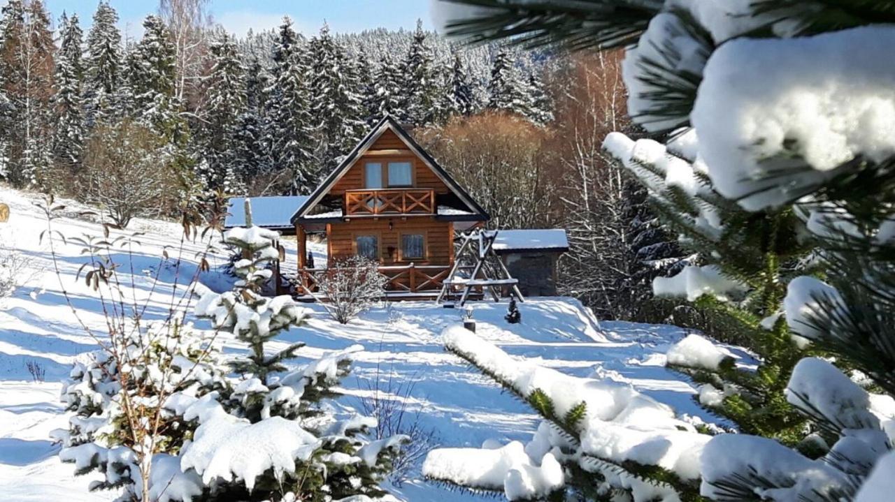 W Gorach Chalet
